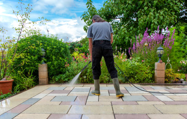 Professional Pressure Washing Services in Harvest, AL